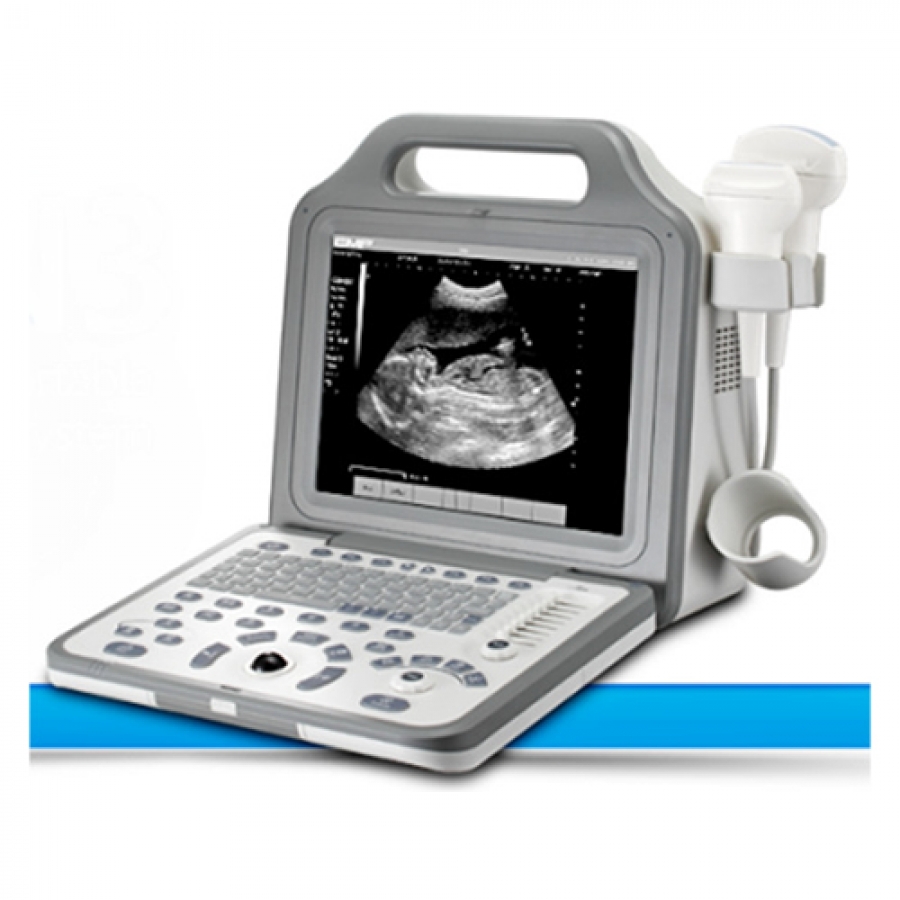 2023 Máquina de ultrasonido convexa más nueva para el embarazo Escáner  portátil ecografo portátil Doppler de mano para pequeños ecografías de  perro bebé ecografía veterinario ultrasonido portátil : Productos para  Animales 